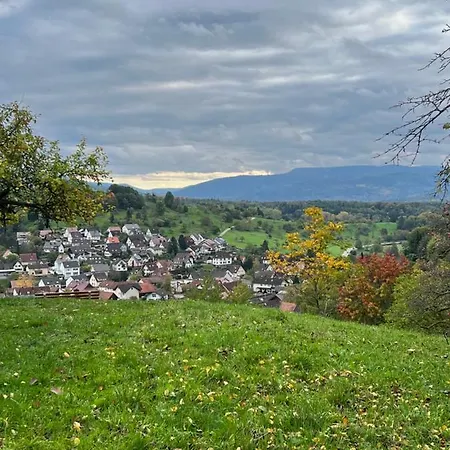 Brack In Gaggenau, Schwarzwald 公寓 *