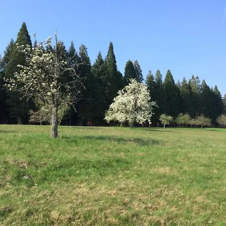 Brack In Gaggenau, Schwarzwald * 加格瑙
