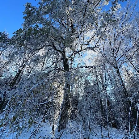 Brack In Gaggenau, Schwarzwald 公寓 *