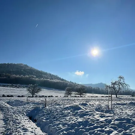 Brack In Gaggenau, Schwarzwald