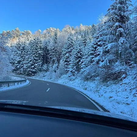 公寓 Brack In Gaggenau, Schwarzwald *